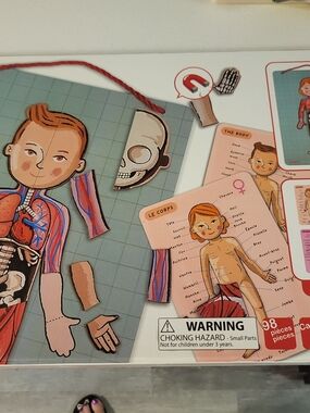 Janod Body Magnet Human Body Educational Board Game Multiple Languages, STEM
